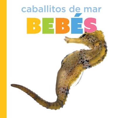 Caballitos de Mar Bebés