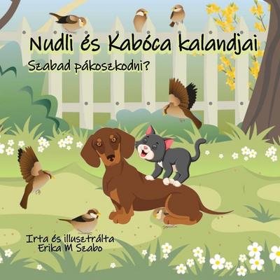 Nudli és Kabóca kalandjai