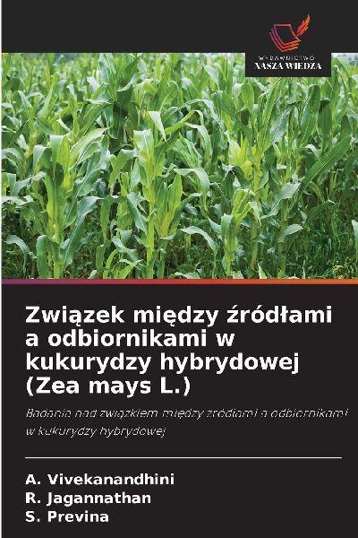 Zwi¿zek mi¿dzy ¿ród¿ami a odbiornikami w kukurydzy hybrydowej (Zea mays L.)