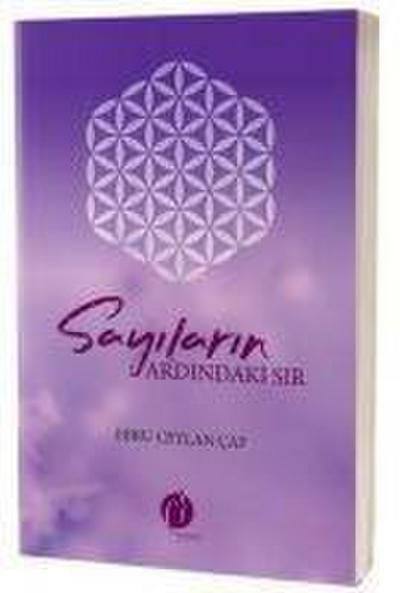 Sayilarin Ardindaki Sir