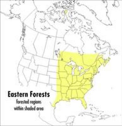 A Peterson Field Guide to Eastern Forests