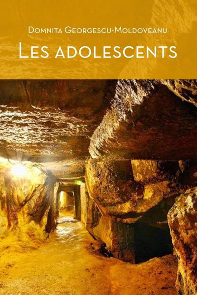 Les Adolescents (c¿ur D’or) - 2nd Edition