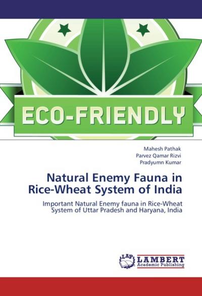 Natural Enemy Fauna in Rice-Wheat System of India