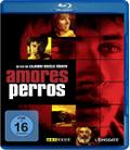 Amores Perros