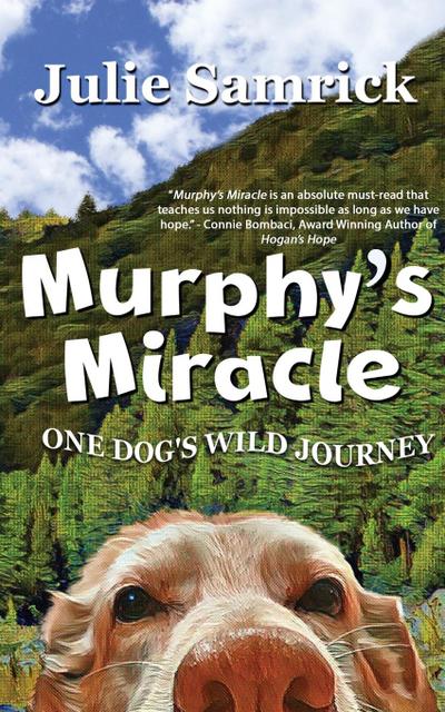 Murphy’s Miracle