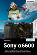 Sony A6600