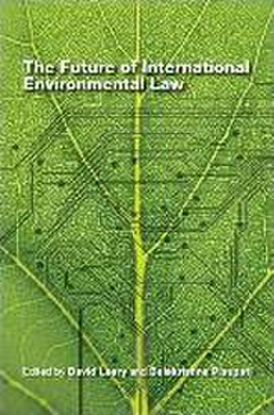 Future of International Environmental Law