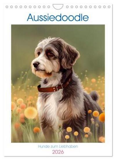 Aussiedoodle - Hunde zum Liebhaben (Wandkalender 2026 DIN A4 hoch), CALVENDO Monatskalender