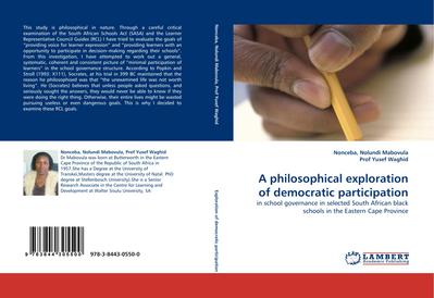 A philosophical exploration of democratic participation