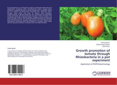 Growth promotion of tomato through Rhizobacteria in a pot experiment
