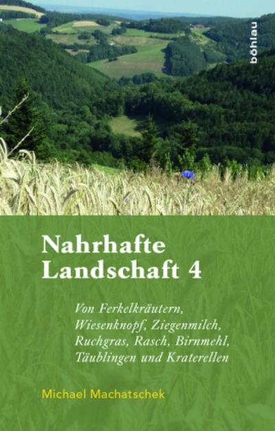 Nahrhafte Landschaft 4