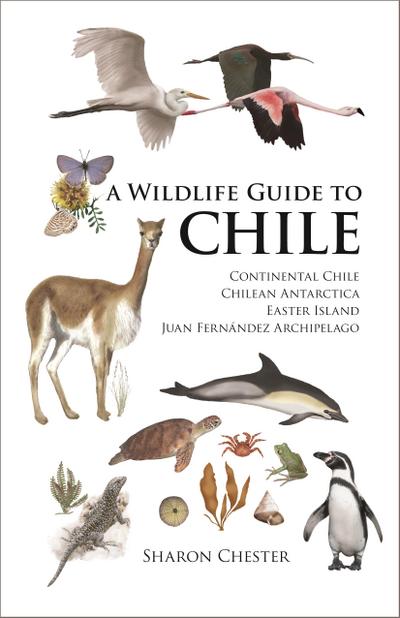 Wildlife Guide to Chile