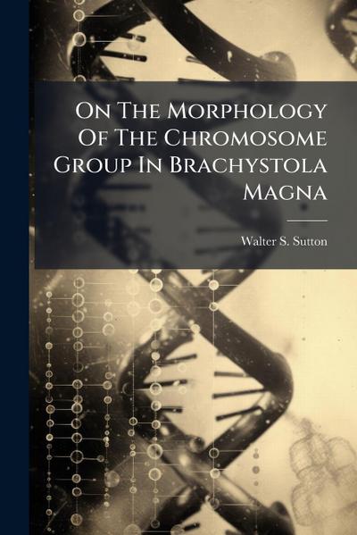 On The Morphology Of The Chromosome Group In Brachystola Magna