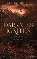 Darkness Ignites. Wenn Liebe zur gefährlichsten Fo ...