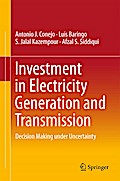 Investment in Electricity Generation and Transmission
