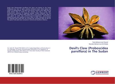 Devil’s Claw (Proboscidea parviflora) in The Sudan