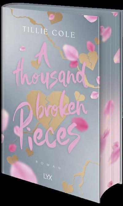 A Thousand Broken Pieces: Special Edition