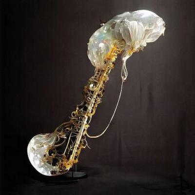 Cookup, 1 Schallplatte