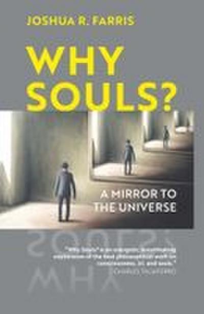 Why Souls?