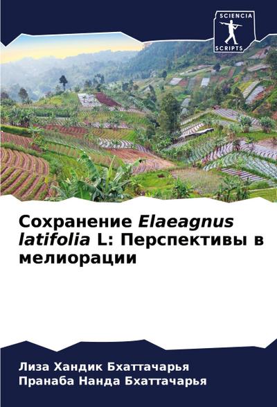 Sohranenie Elaeagnus latifolia L: Perspektiwy w melioracii