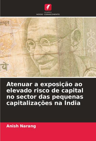 Atenuar a exposição ao elevado risco de capital no sector das pequenas capitalizações na Índia