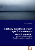 Spatially distributed water stages from remotelyse