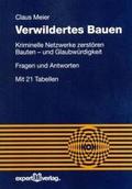 Verwildertes Bauen
