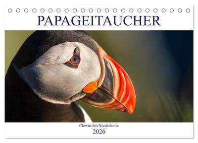 Papageitaucher: Clowns des Nordatlantik (Tischkalender 2026 DIN A5 quer), CALVENDO Monatskalender