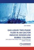 GAS-LIQUID TWO-PHASE FLOW IN AN EJECTOR INDUCED DOWNFLOW BUBBLE COLUMN
