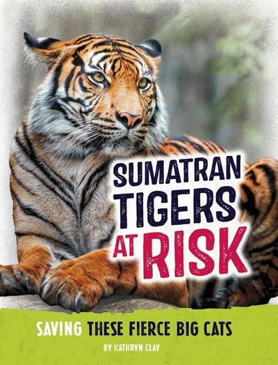 Sumatran Tigers at Risk