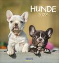 Hunde 2027