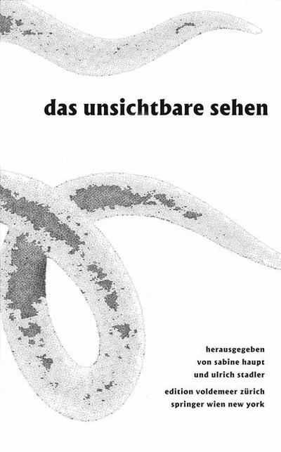 Das Unsichtbare sehen: Bildzauber, optische Medien und Literatur (Edition Voldemeer Zürich)