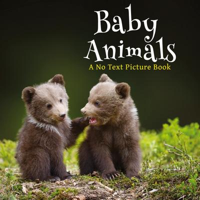 Baby Animals, A No Text Picture Book