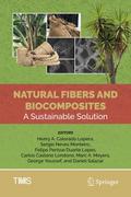 Natural Fibers and Biocomposites