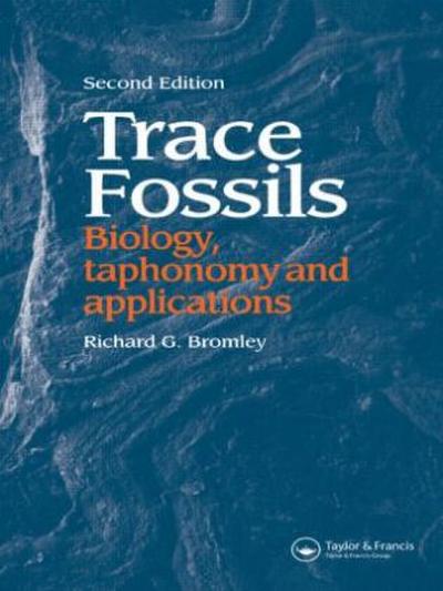 Trace Fossils