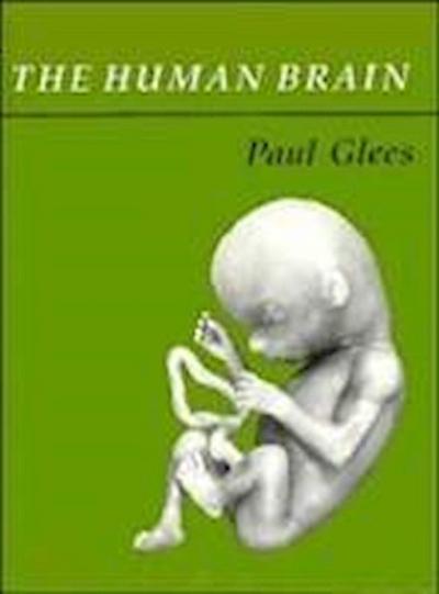 Paul Glees, G: The Human Brain
