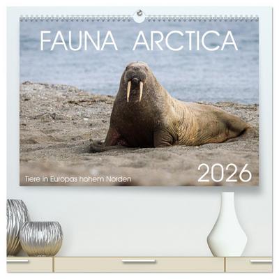 Fauna arctica (hochwertiger Premium Wandkalender 2026 DIN A2 quer), Kunstdruck in Hochglanz