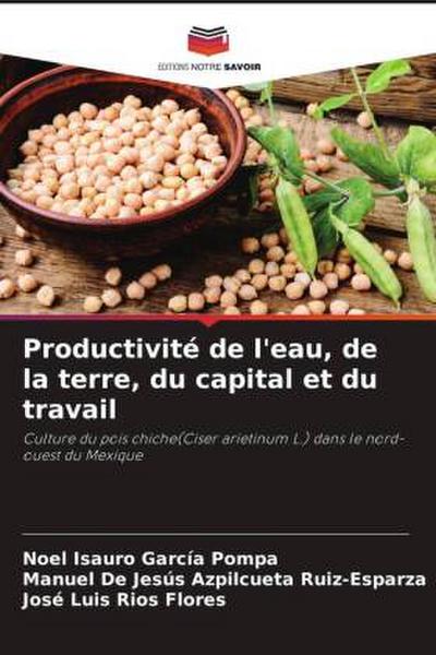 Productivité de l’eau, de la terre, du capital et du travail