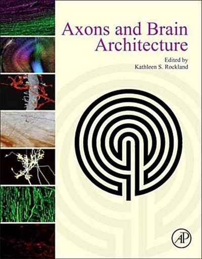 Axons and Brain Architecture