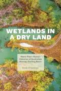 Wetlands in a Dry Land