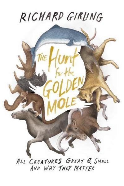 The Hunt for the Golden Mole