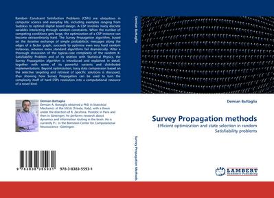 Survey Propagation methods