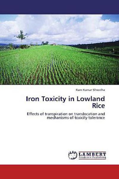 Iron Toxicity in Lowland Rice