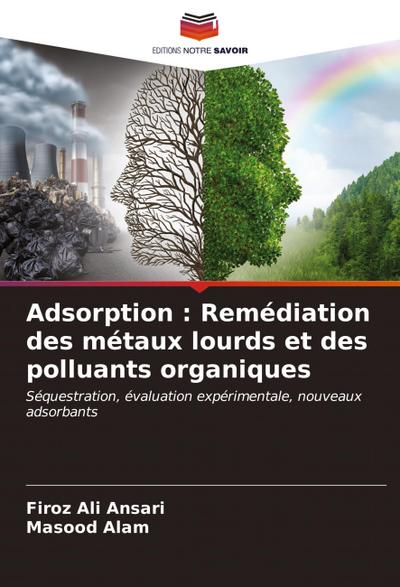 Adsorption : Remédiation des métaux lourds et des polluants organiques