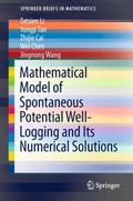Mathematical Model of Spontaneous Potential Well-L