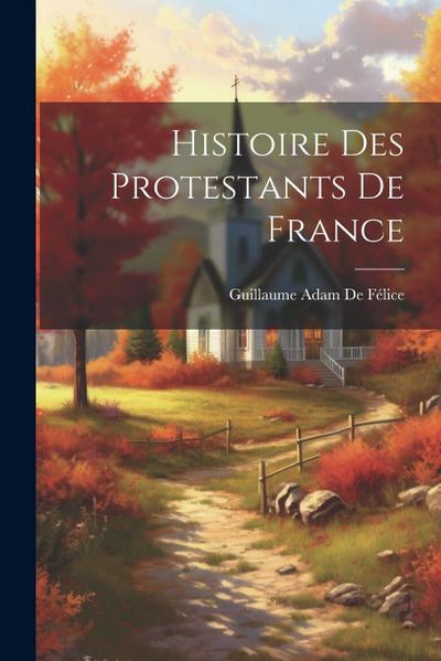 Histoire Des Protestants De France