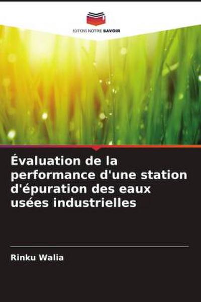 Évaluation de la performance d’une station d’épuration des eaux usées industrielles