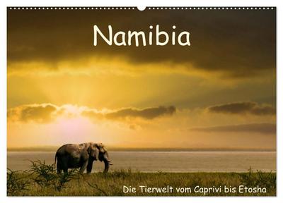 Namibia - Die Tierwelt vom Caprivi bis Etosha (Wandkalender 2026 DIN A2 quer), CALVENDO Monatskalender