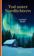 Tod unter Nordlichtern