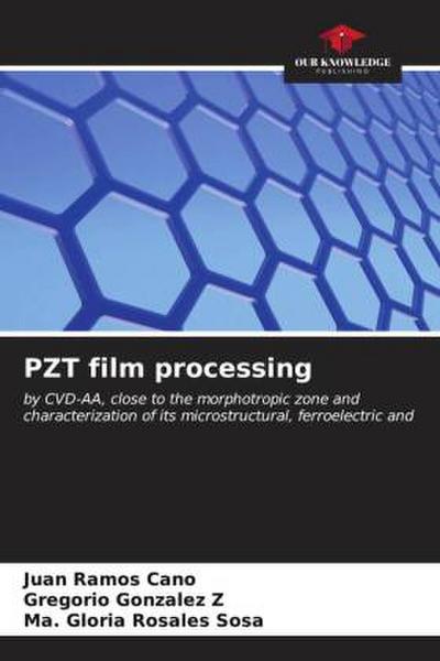 PZT film processing